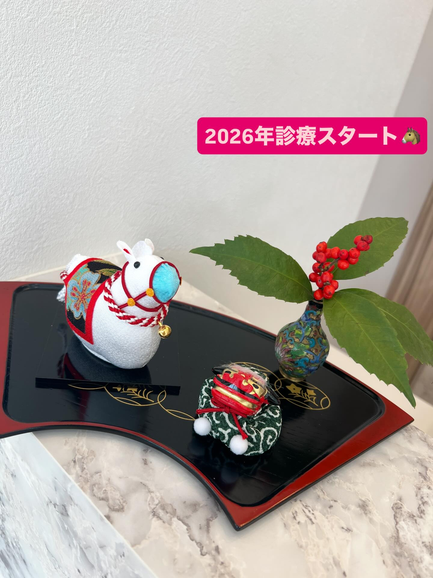 【2026年診療スタートしました】