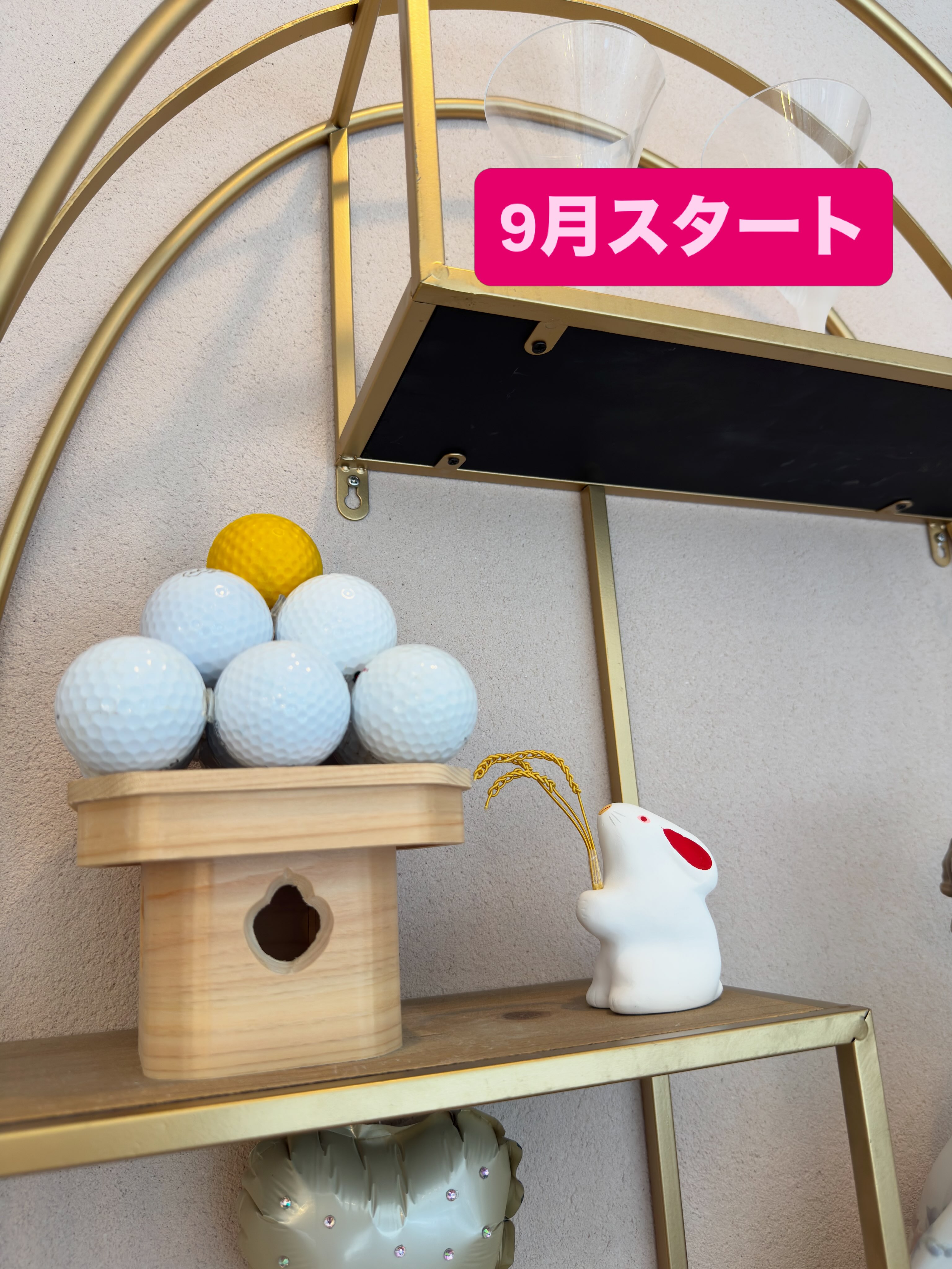 こんにちは!
